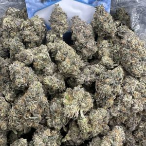 zero gelato 47 strain