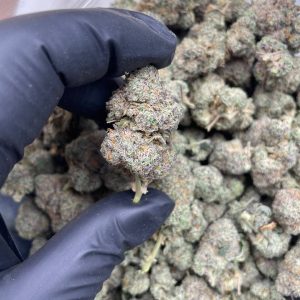 zero granddady purpple strain