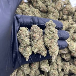 zero banana runtz strain